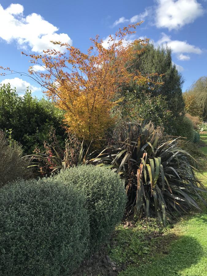 Bed and Breakfast 40 Winks Otorohanga Exterior foto